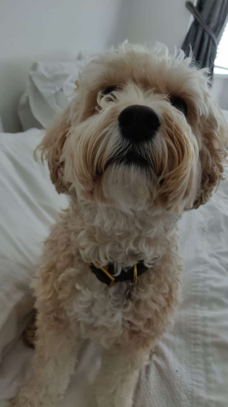 2 tier Black & Gold Overload Cake