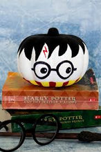 Load image into Gallery viewer, HALLOWEEN PUMPKIN PAINTING WORKSHOP

